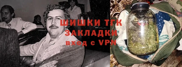 хмурый Липки
