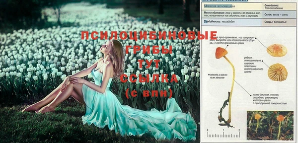 2c-b Лагань