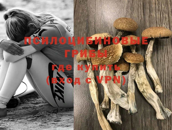 прущая мука Лабытнанги