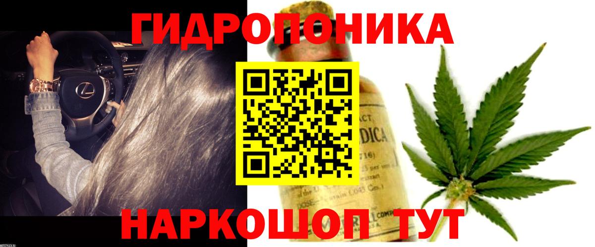 МАРИХУАНА план  Шишки марихуана марихуана  Острогожск 